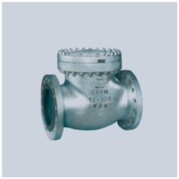 Cryogenic Check Valve